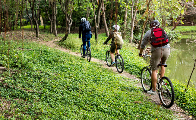 Cycling Trip